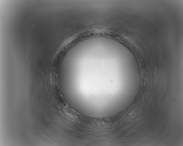 X0000062881207200601271613