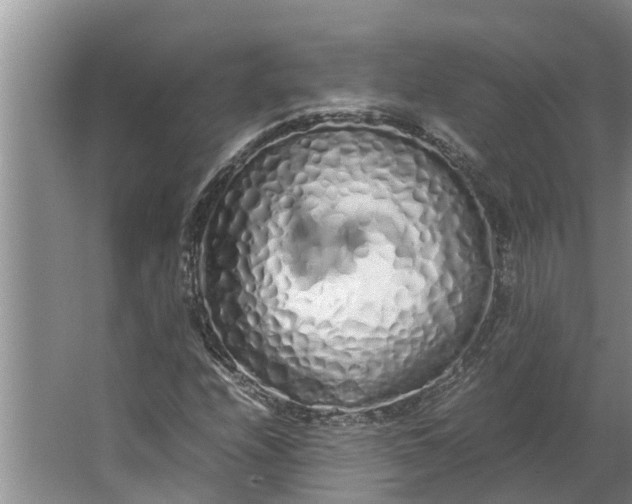 X0000062881208200601271613