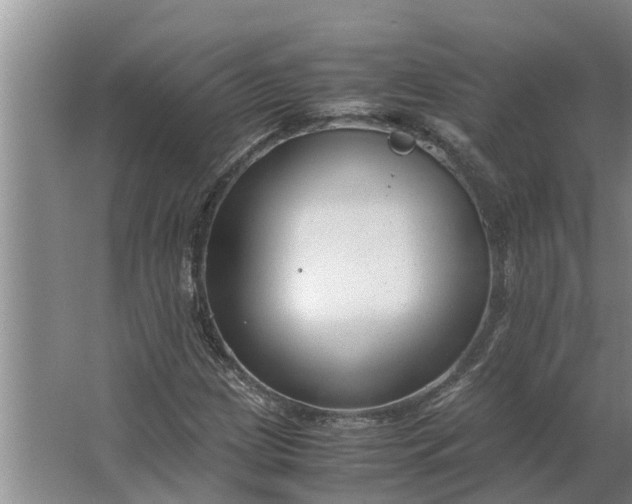 X0000062881209200601271613