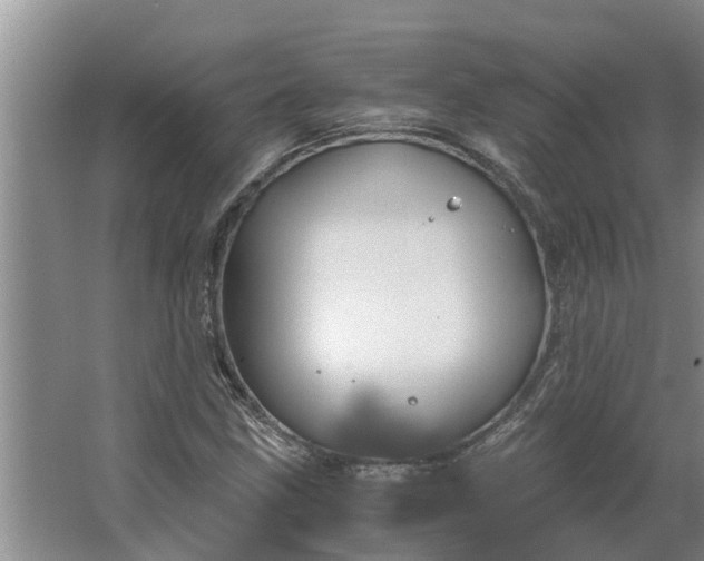 X0000062881211200601271613