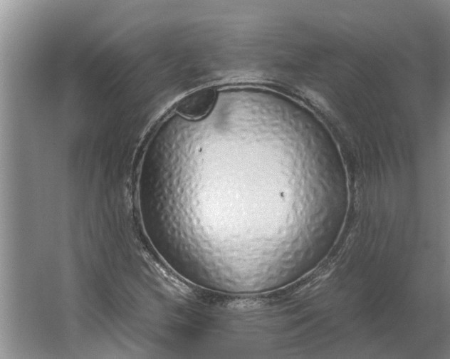 X0000062881212200601271613