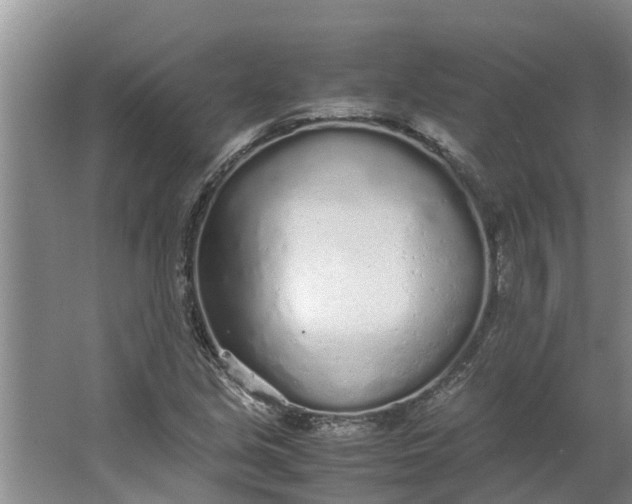 X0000062881213200601271613