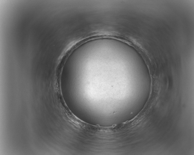 X0000062881215200601271613