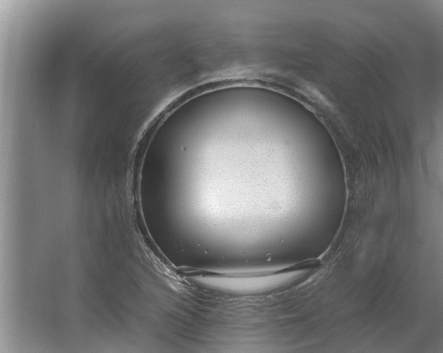 X0000062881216200601271613