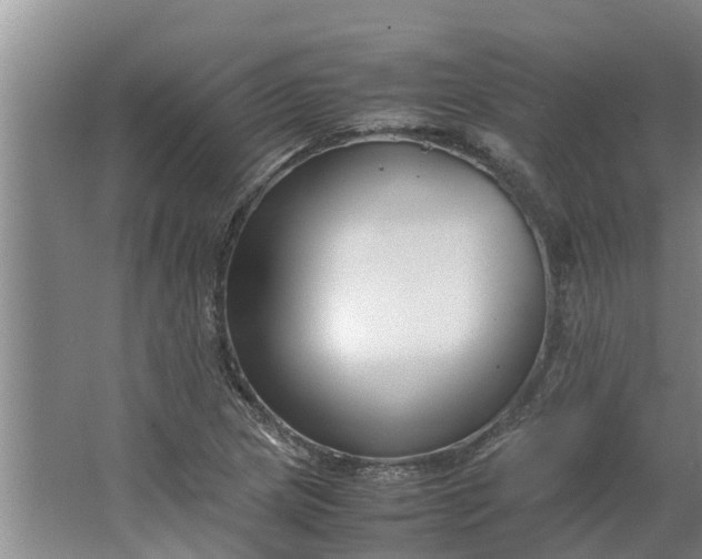 X0000062881217200601271613