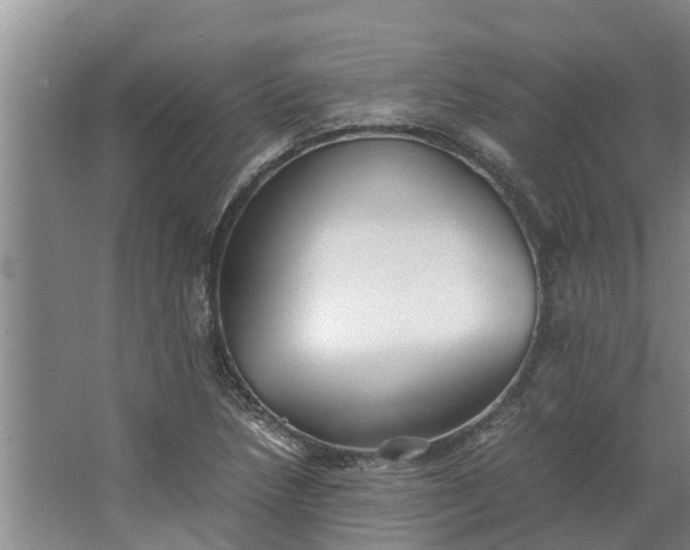 X0000062881218200601271613