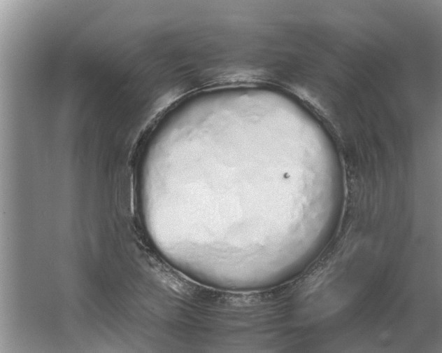 X0000062881219200601271613