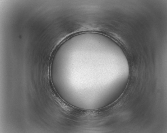 X0000062881220200601271613