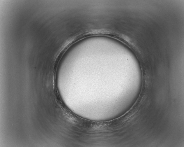 X0000062881221200601271613