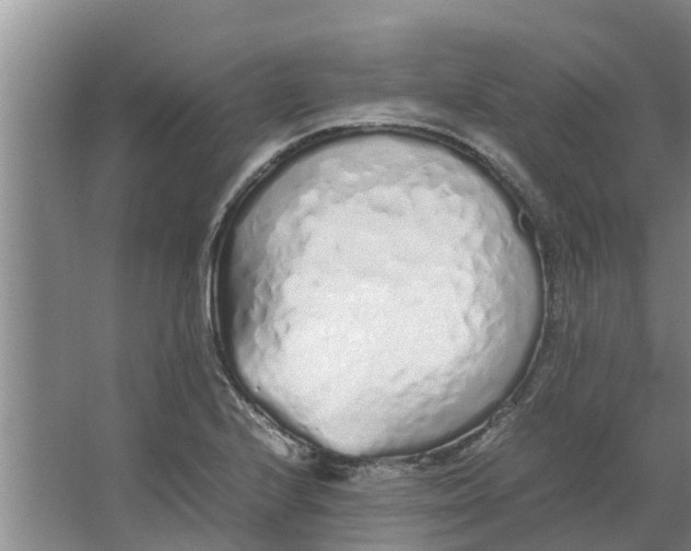 X0000062881224200601271613