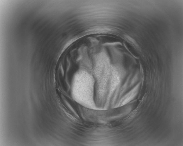 X0000062881226200601271613