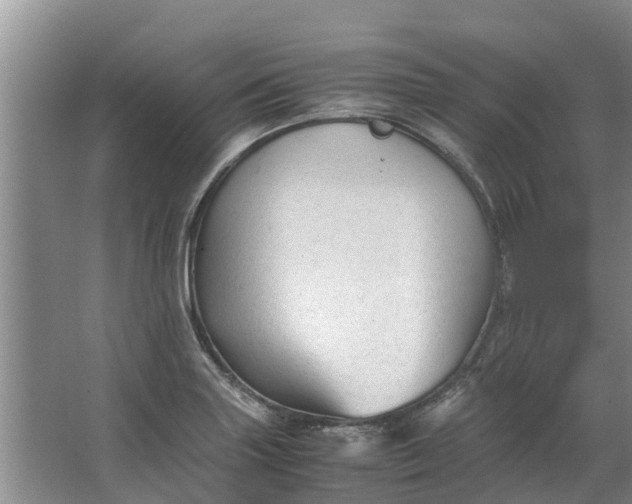 X0000062881227200601271613