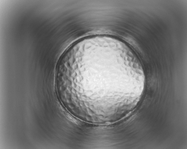 X0000062881228200601271613