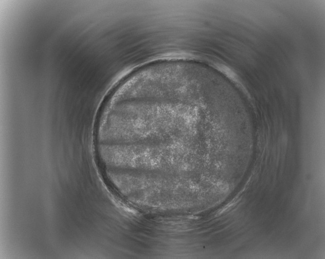 X0000062881229200601271613