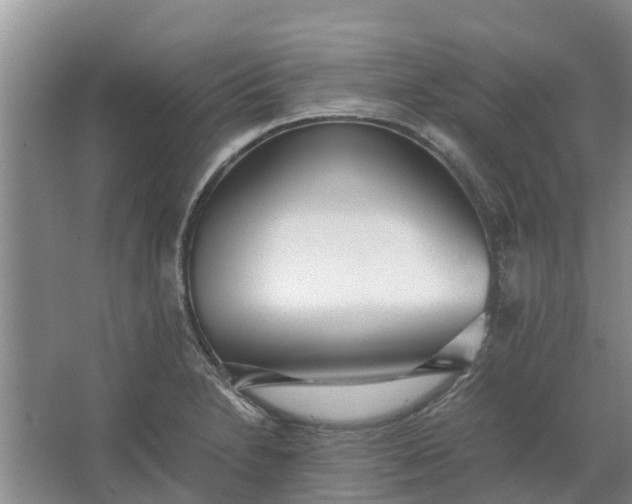 X0000062881230200601271613