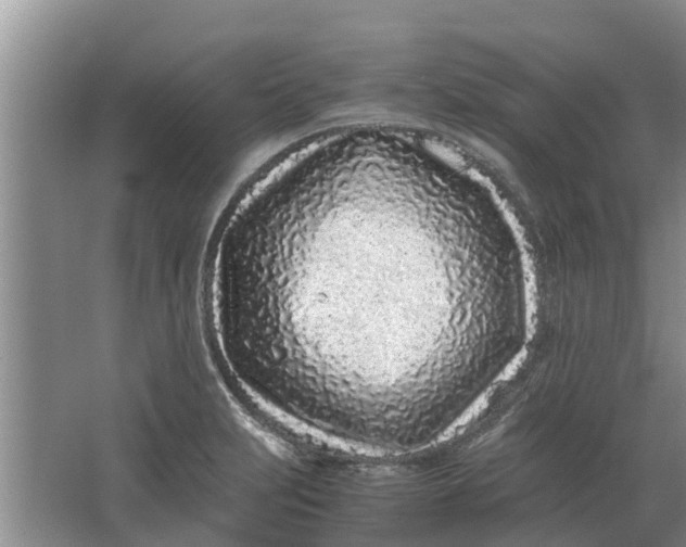 X0000062881231200601271613