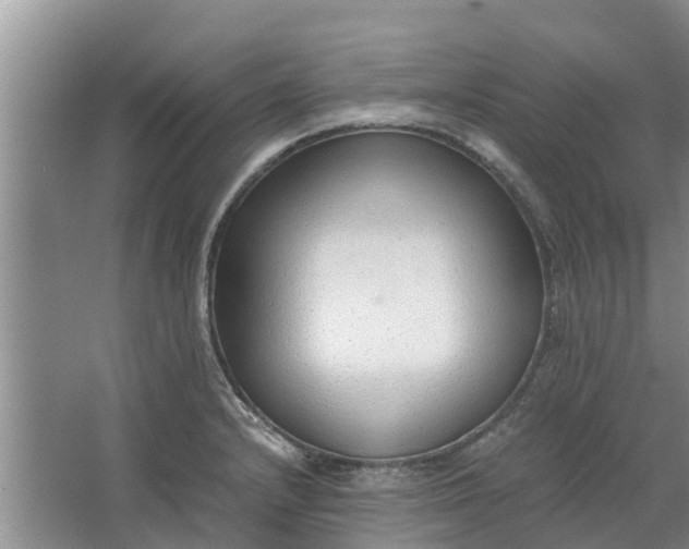 X0000062881232200601271613