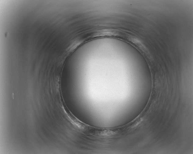 X0000062881233200601271613