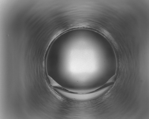 X0000062881234200601271613