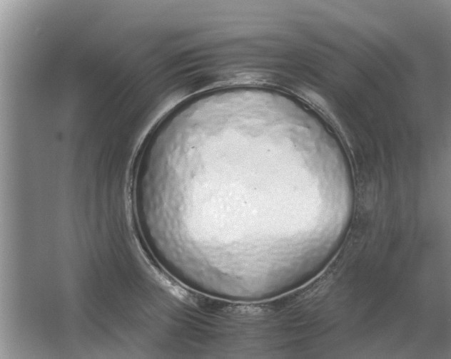 X0000062881235200601271613