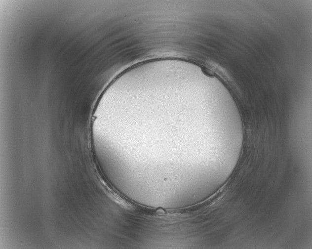 X0000062881236200601271613