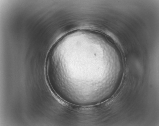 X0000062881237200601271613