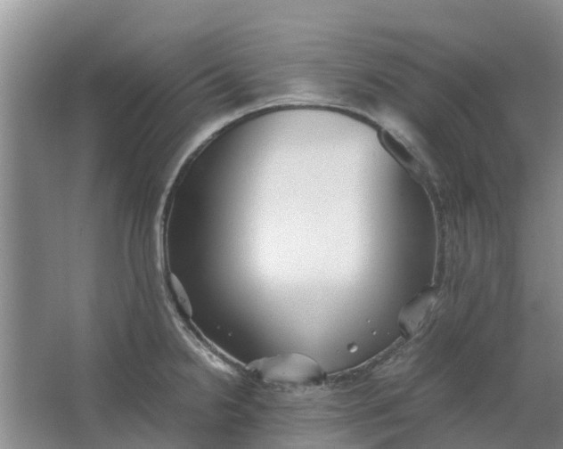 X0000062881238200601271613