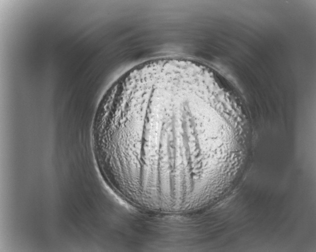 X0000062881239200601271613