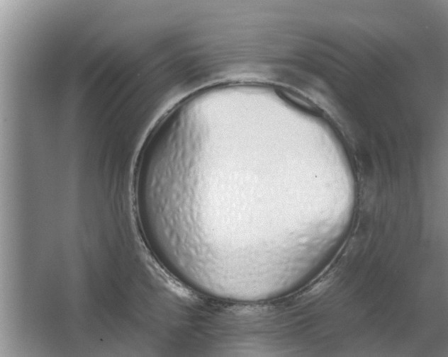 X0000062881240200601271613