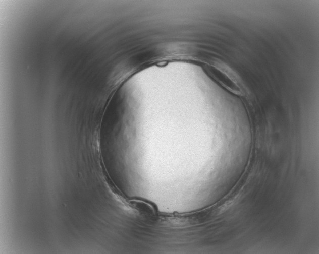 X0000062881241200601271613