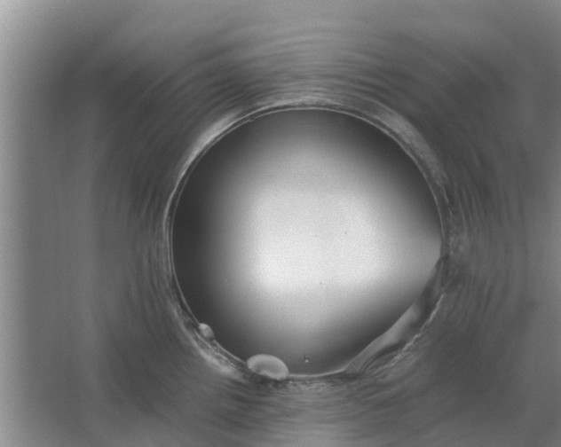 X0000062881242200601271613