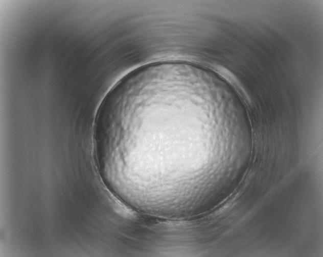 X0000062881244200601271613