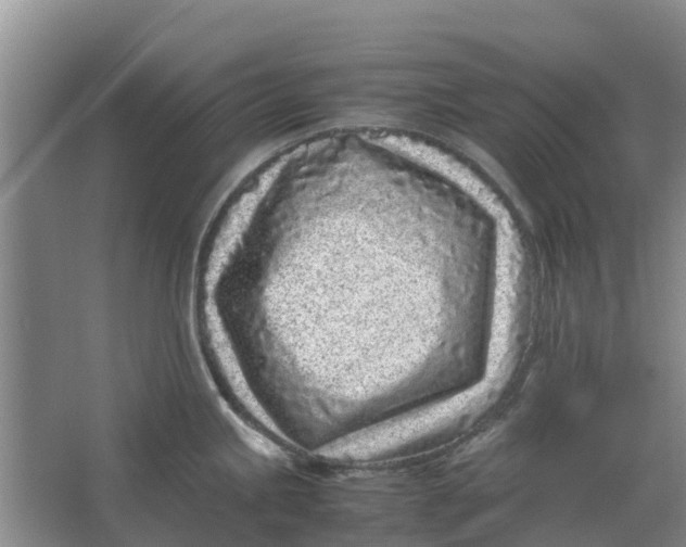 X0000062881245200601271613