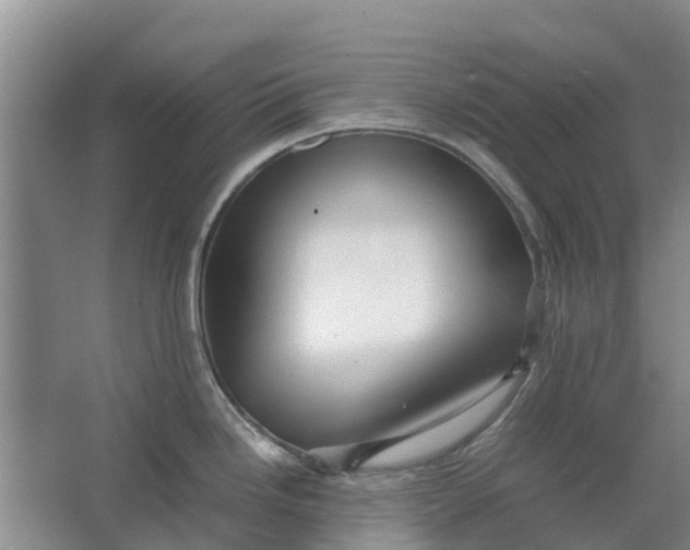 X0000062881246200601271613