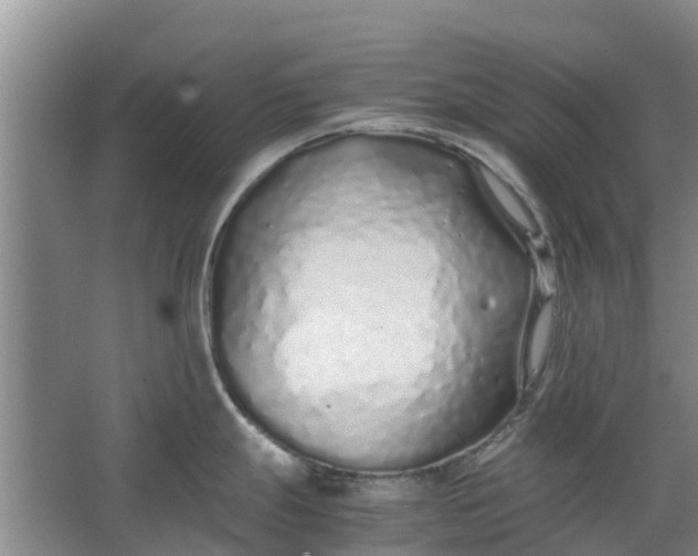 X0000062881247200601271613