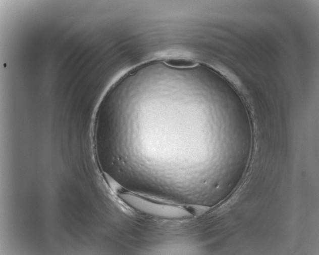 X0000062881248200601271613