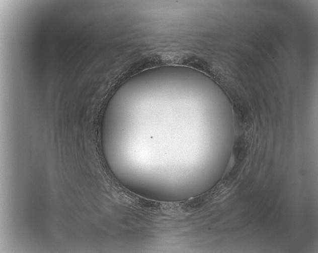 X0000062881249200601271613