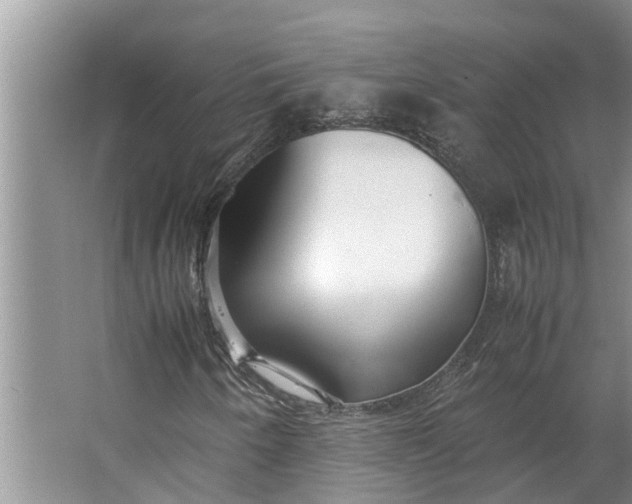 X0000062881250200601271613