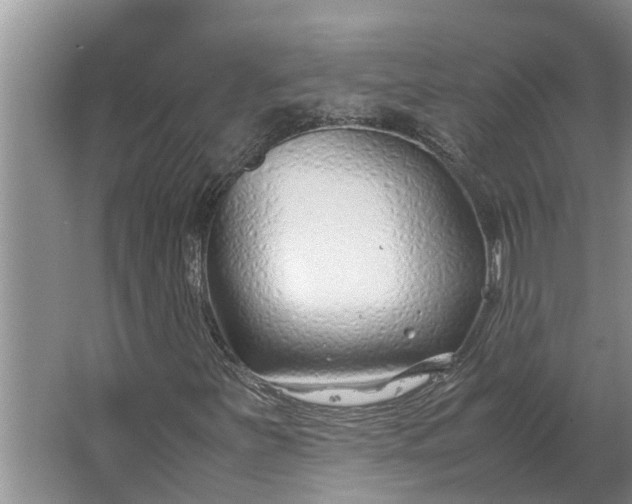 X0000062881251200601271613