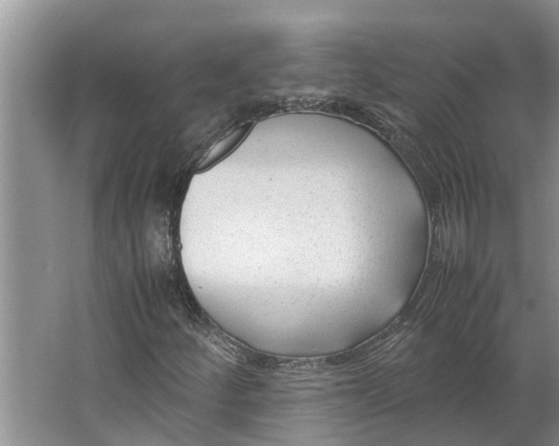 X0000062881252200601271613