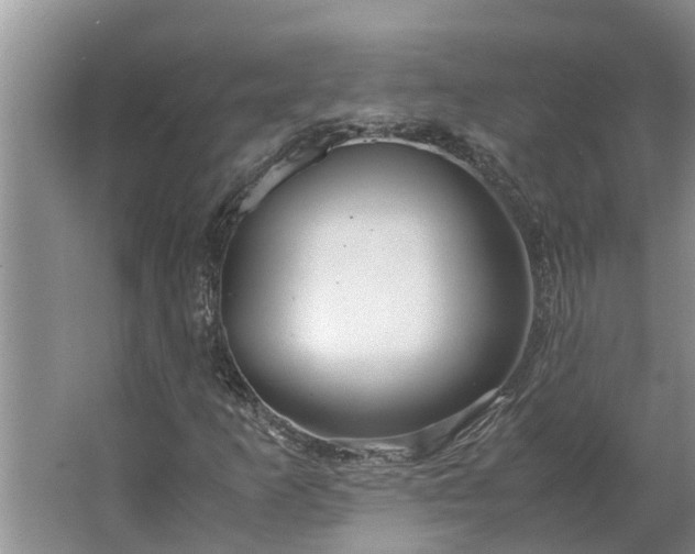 X0000062881253200601271613