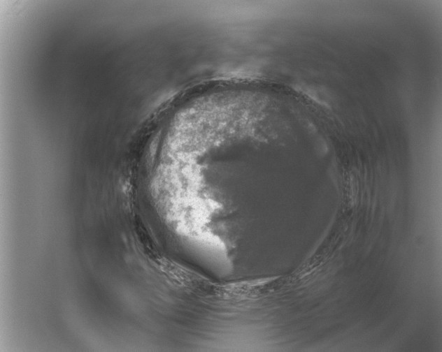 X0000062881254200601271613