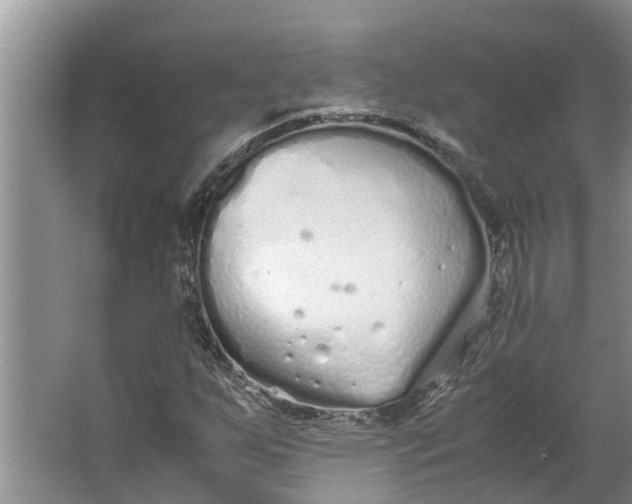 X0000062881255200601271612