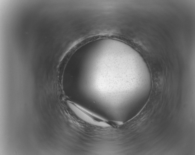 X0000062881256200601271612