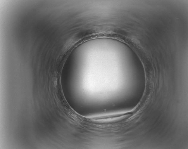 X0000062881257200601271612