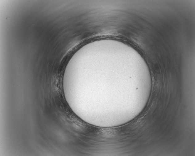 X0000062881258200601271612