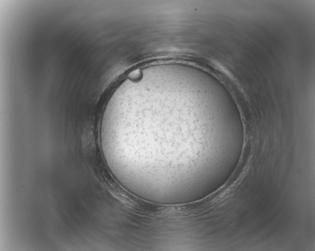 X0000062881259200601271612