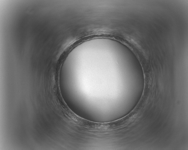 X0000062881261200601271612