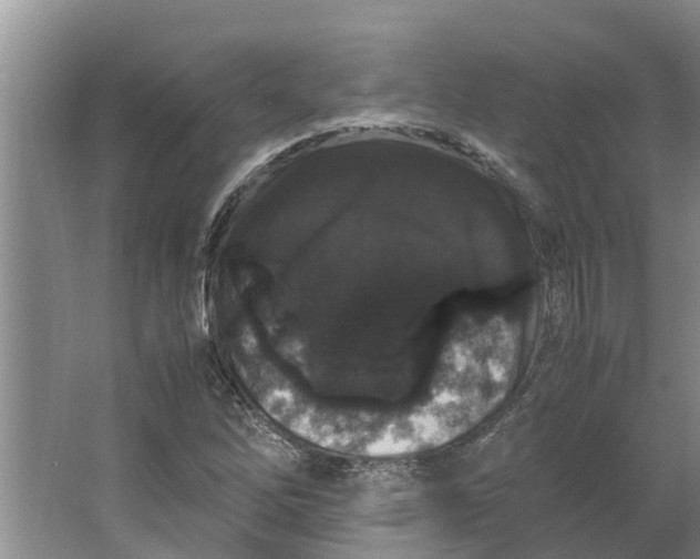 X0000062881262200601271612