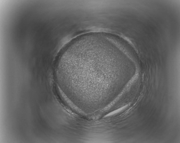 X0000062881263200601271612